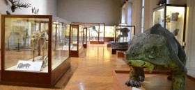 Museo di Paleontologia e Preistoria “Piero Leonardi”