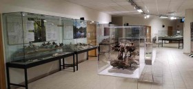 MuPA Museo Paleontologico Archeologico