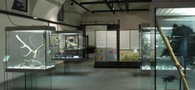 Museo di Preistoria e Protostoria
