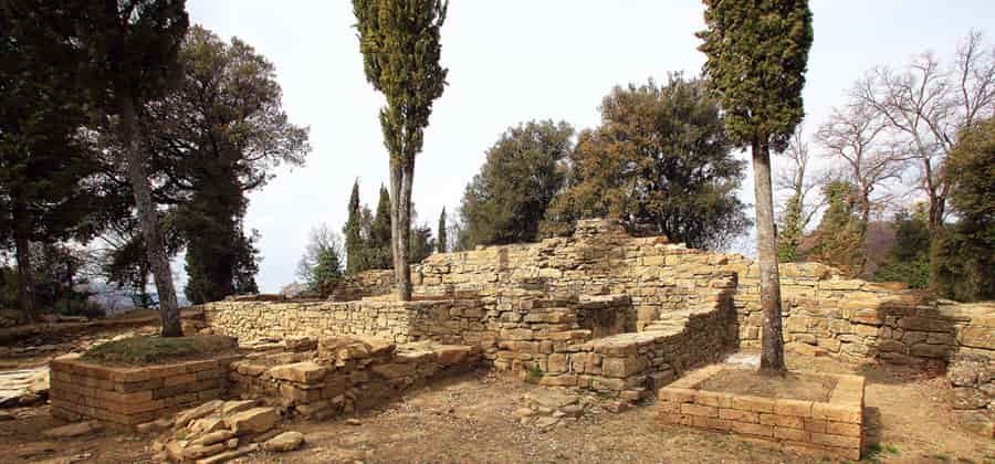 Scavi Archeologici di Frascole