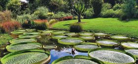 Giardino Botanico di Villa Bricherasio