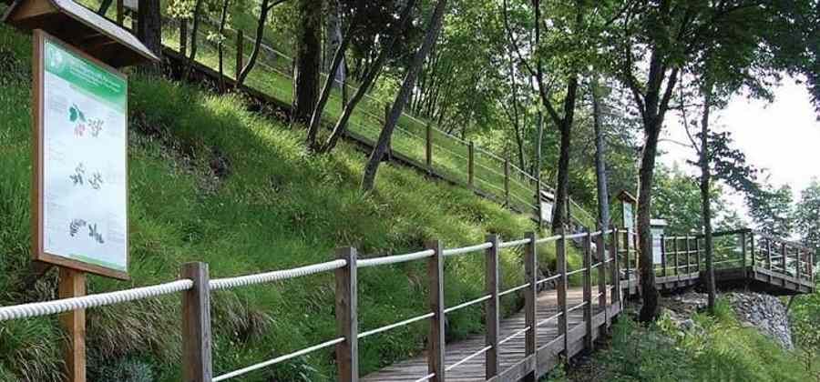 Orto Botanico delle Alpi Apuane