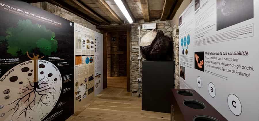 Museo del Tartufo di Fragno