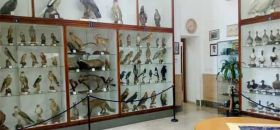 Museo Ornitologico di Mazara
