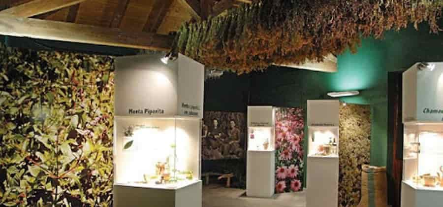 Museo della Menta e delle Piante Officinali