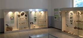 Museo Insubrico di Storia Naturale