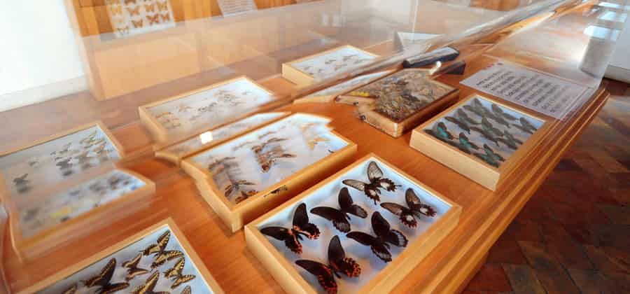 Museo Naturalistico del Monte Soratte