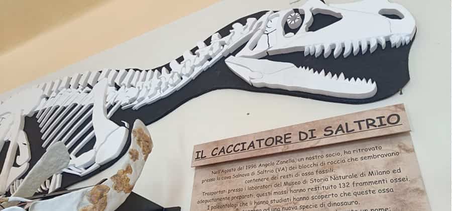 Centro Studi Naturalistici