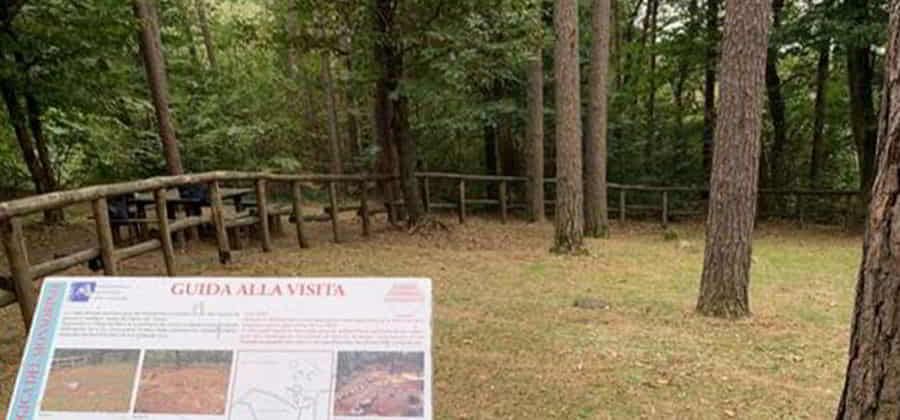 Area Archeologica Monsorino di Golasecca