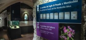 Museo di Storia Naturale del Vulture