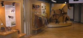 Museo Civico "G. VI Adolfo di Svezia"