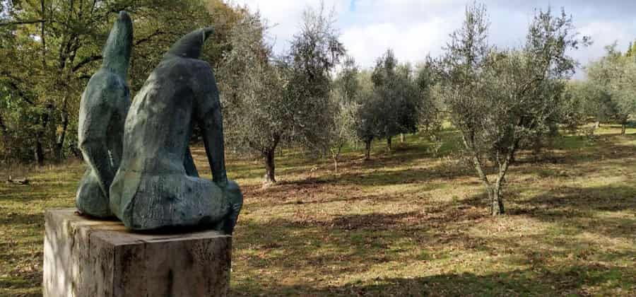 Parco Museo di Poggio Valicaia