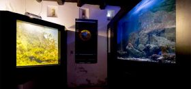 Museo Vivo del Mare
