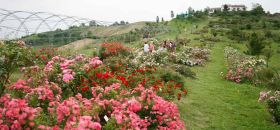 Museo Giardino della Rosa Antica