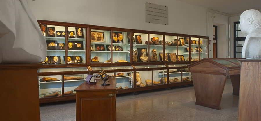 Museo Anatomia Patologica