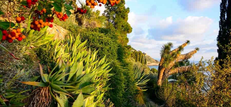 Giardino di Villa Piacenza Boccanegra