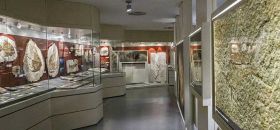 Museo dei Fossili di Bolca