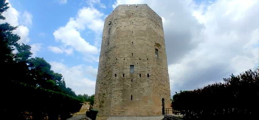 Torre di Federico II