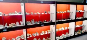 Museo di Mineralogia e Paleontologia del Cenacolo "I. Mus"