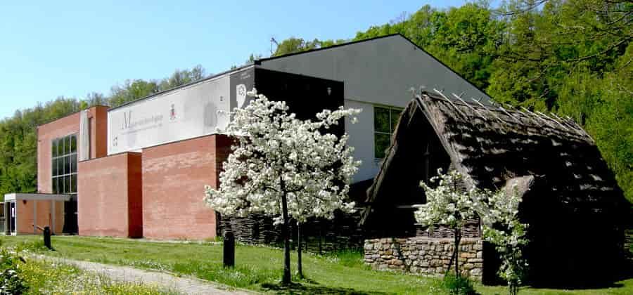 Museo Civico Archeologico "Luigi Fantini"