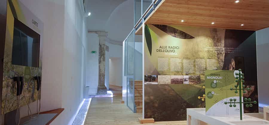 Museo del Paesaggio Agrario dell’Ulivo