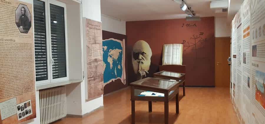 Museo di Storia Naturale di Foggia