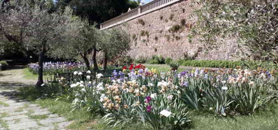 Giardino dell’Iris