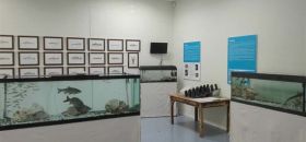 Museo della Pesca di Silea