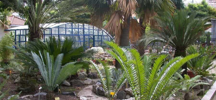 Orto Botanico "Pietro Castelli"