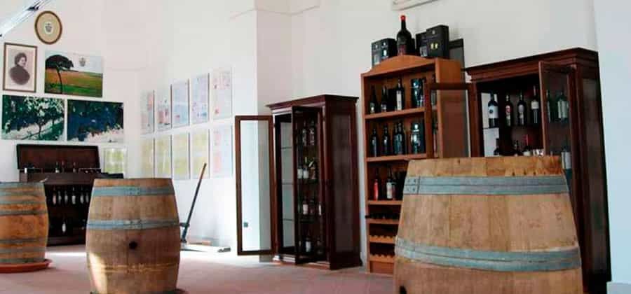 Museo dell'Olio e del Vino