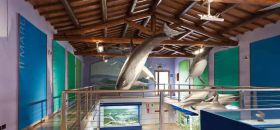 Museo di Storia Naturale della Maremma