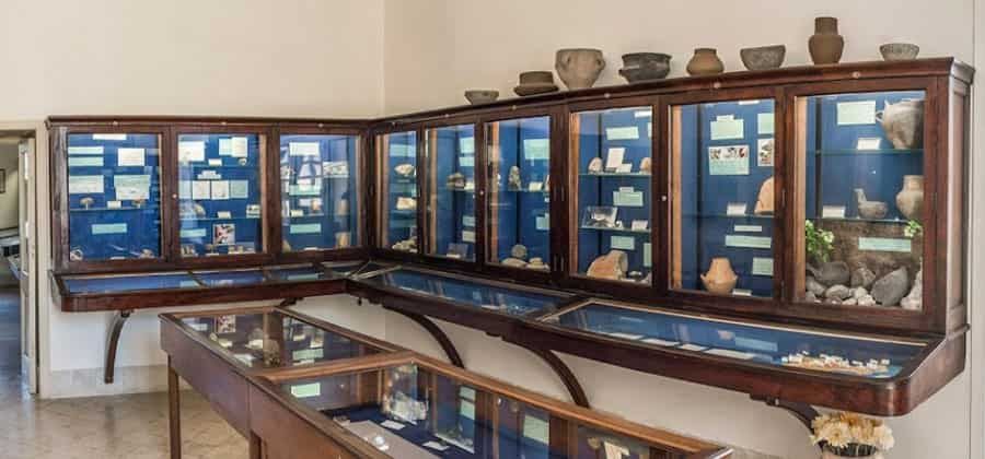 Museo Naturalistico "Ignazio Cerio"