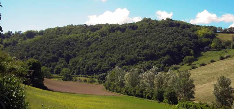 Orto Botanico "Selva di Gallignano"