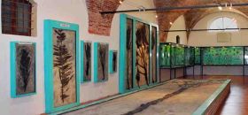 Museo dei Fossili "Pierluigi Malinverni"