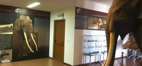 Museo Naturalistico e Paleontologico del Pollino