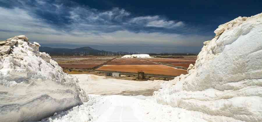 Saline Conti Vecchi