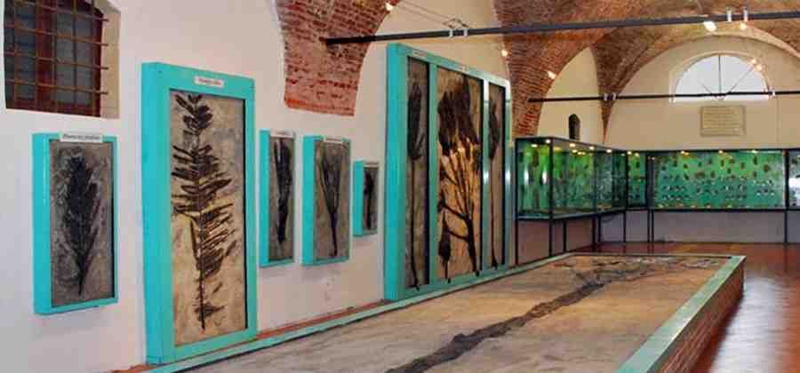 Museo dei Fossili "P. Malinverni"