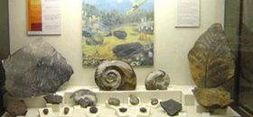 Museo Geopaleontologico di San Bonifacio