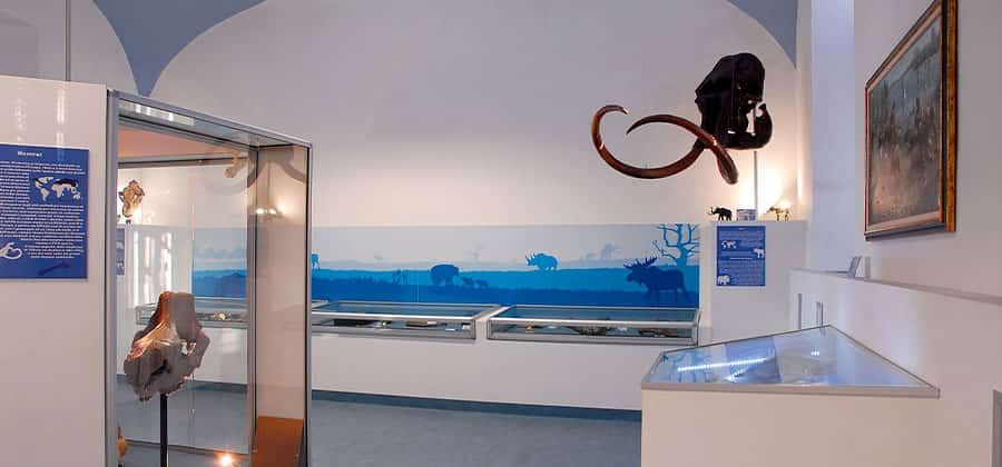 Museo Paleontologico del Po