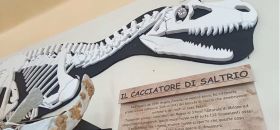 Centro Studi Naturalistici