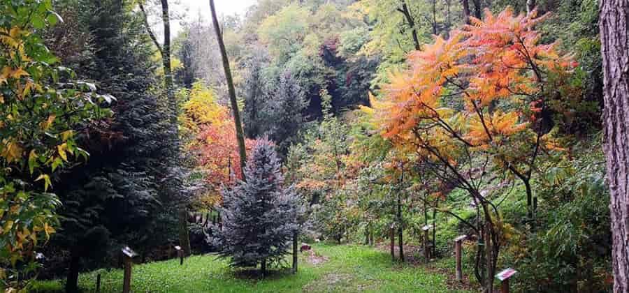 Orto Botanico di Ome