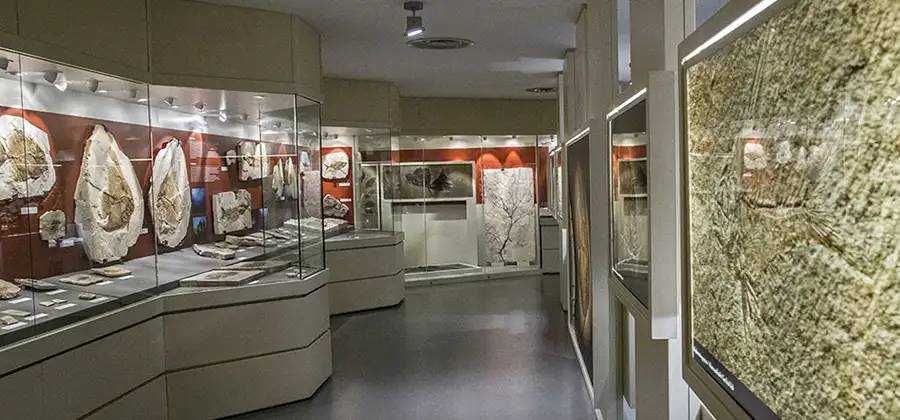 Museo dei Fossili di Bolca