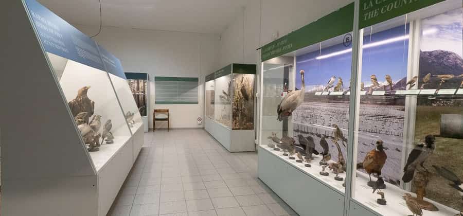 Museo Ornitologico "Luigi Scanagatta"