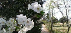 Campastrello Campus Botanico