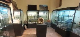 Museo di Scienze Naturali Fondazione Oppelide