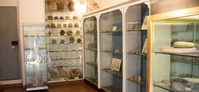 Museo di Scienze Naturali “Cavalier Locca”
