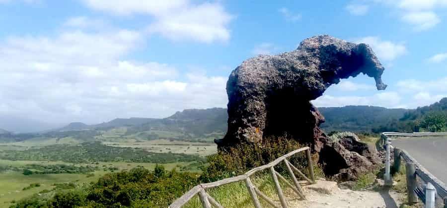 Domus de janas di Roccia dell'Elefante