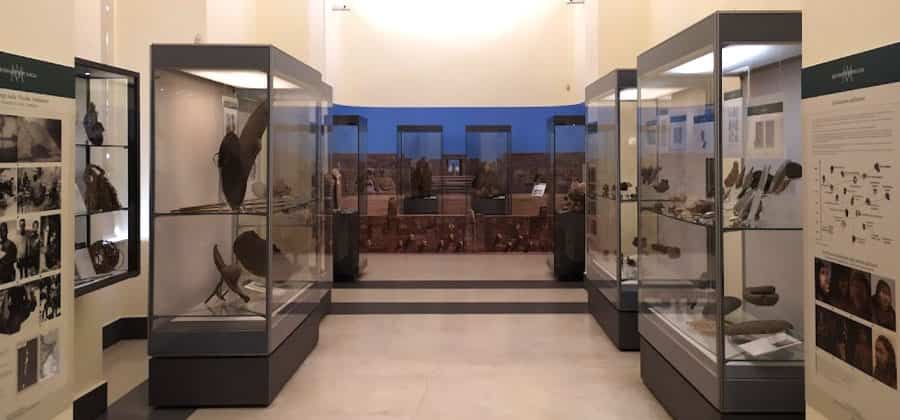 Museo di Antropologia di Napoli