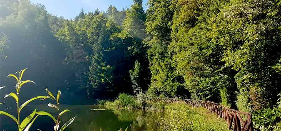 Giardino Botanico di Valbonella
