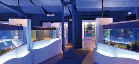 Acquario della Laguna di Orbetello